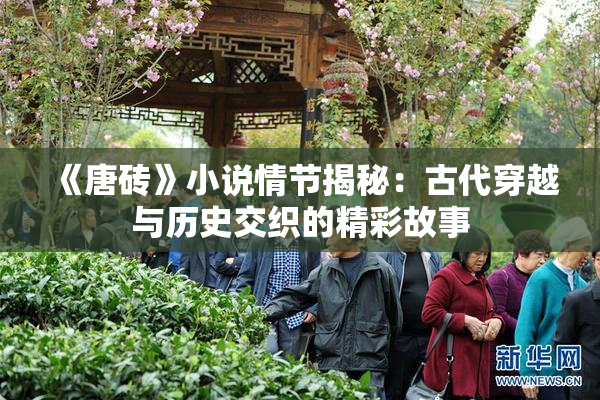 《唐砖》小说情节揭秘：古代穿越与历史交织的精彩故事