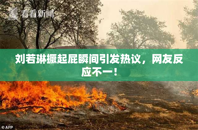 刘若琳撅起屁瞬间引发热议，网友反应不一！
