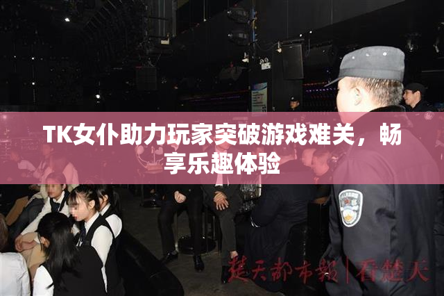 TK女仆助力玩家突破游戏难关，畅享乐趣体验