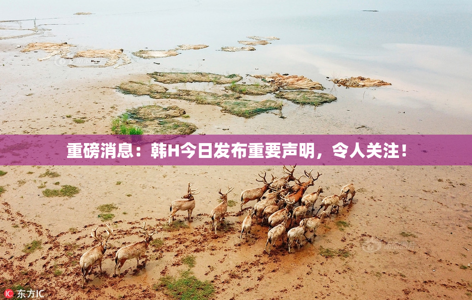 重磅消息：韩H今日发布重要声明，令人关注！