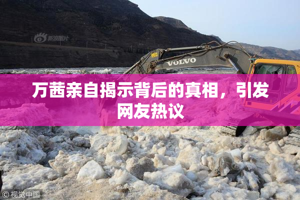 万茜亲自揭示背后的真相，引发网友热议