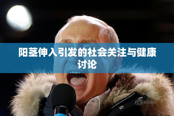 阳茎伸入引发的社会关注与健康讨论