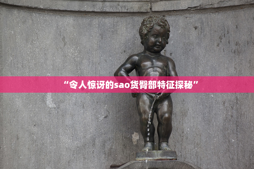 “令人惊讶的sao货臀部特征探秘”
