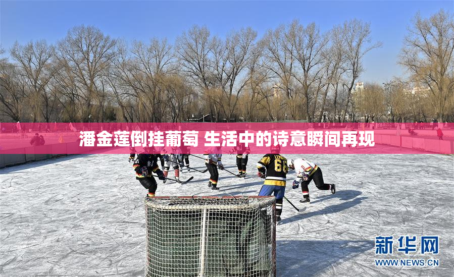 潘金莲倒挂葡萄 生活中的诗意瞬间再现