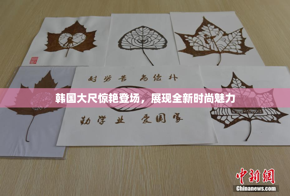 韩国大尺惊艳登场，展现全新时尚魅力
