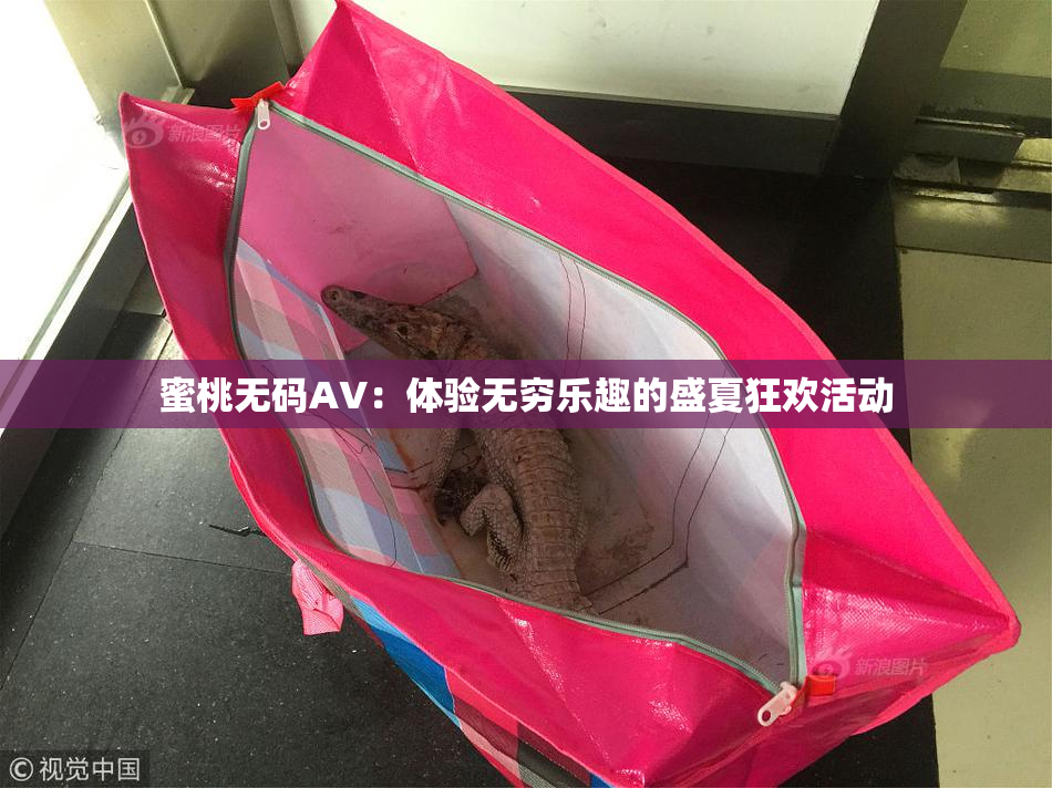 蜜桃无码AV：体验无穷乐趣的盛夏狂欢活动