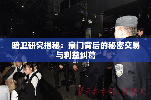 暗卫研究揭秘：豪门背后的秘密交易与利益纠葛