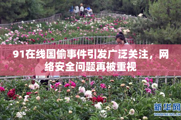 91在线国偷事件引发广泛关注，网络安全问题再被重视