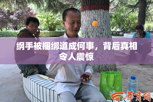 纲手被捆绑道成何事，背后真相令人震惊