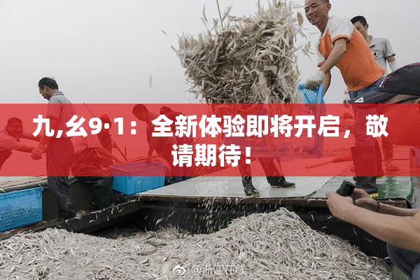 九,幺9·1：全新体验即将开启，敬请期待！