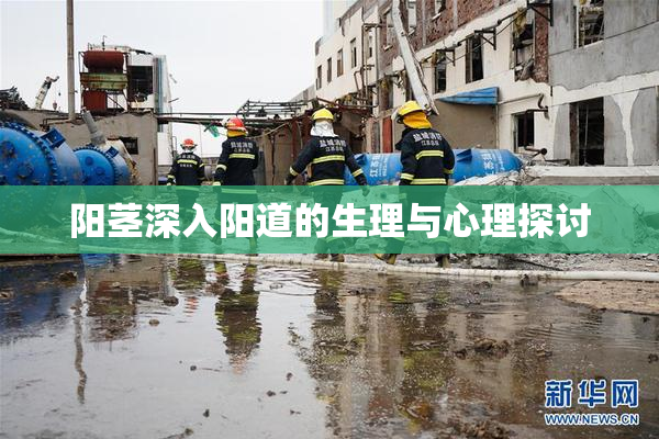 阳茎深入阳道的生理与心理探讨