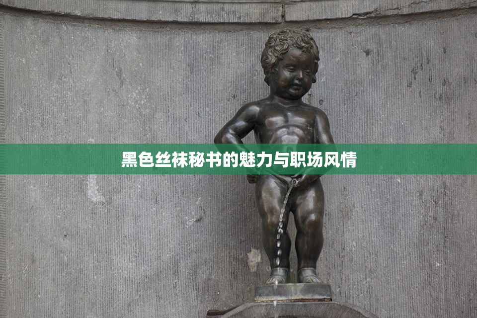 黑色丝袜秘书的魅力与职场风情