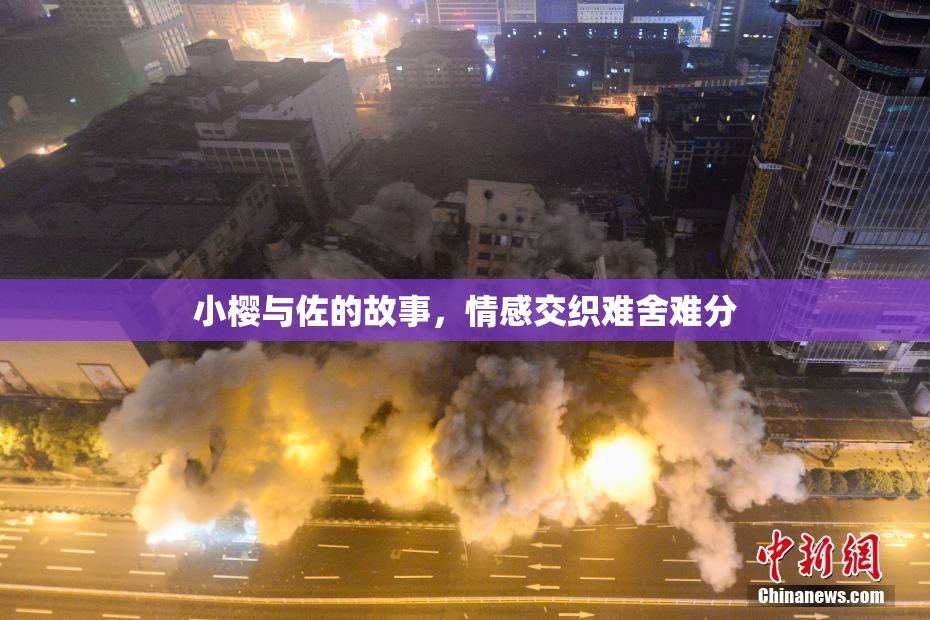小樱与佐的故事，情感交织难舍难分