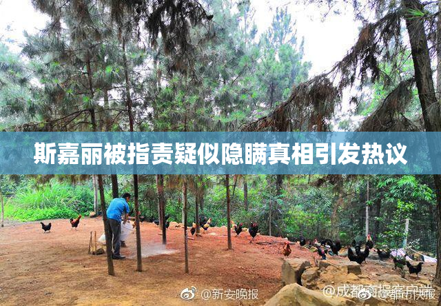 斯嘉丽被指责疑似隐瞒真相引发热议