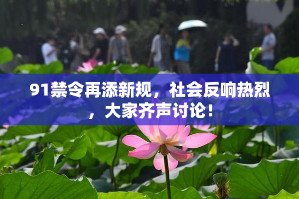 91禁令再添新规，社会反响热烈，大家齐声讨论！
