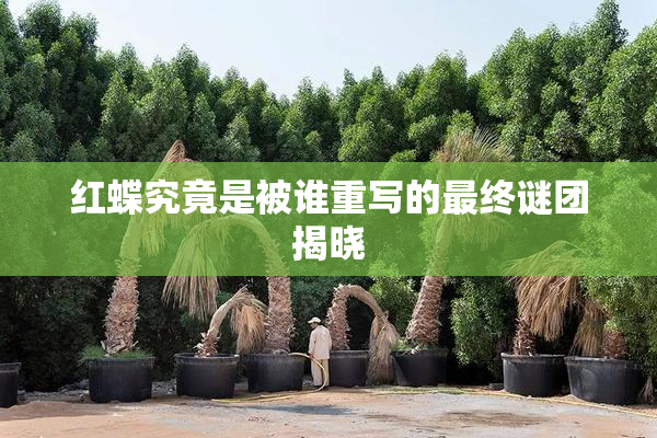 红蝶究竟是被谁重写的最终谜团揭晓