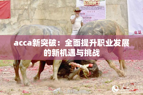 acca新突破：全面提升职业发展的新机遇与挑战