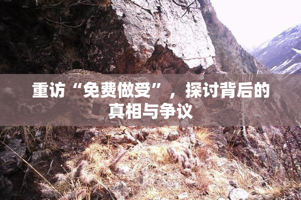 重访“免费做受”，探讨背后的真相与争议