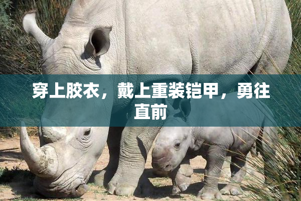 穿上胶衣，戴上重装铠甲，勇往直前