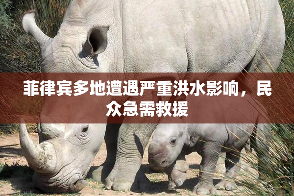 菲律宾多地遭遇严重洪水影响，民众急需救援