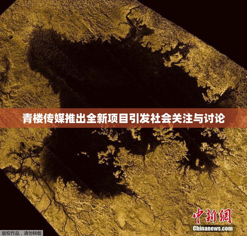 青楼传媒推出全新项目引发社会关注与讨论