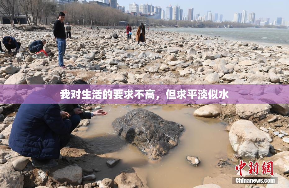 我对生活的要求不高，但求平淡似水