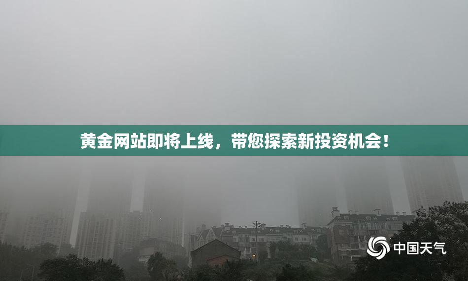 黄金网站即将上线，带您探索新投资机会！