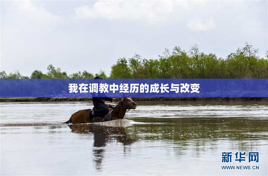 我在调教中经历的成长与改变