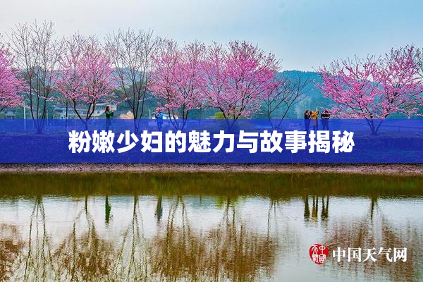 粉嫩少妇的魅力与故事揭秘