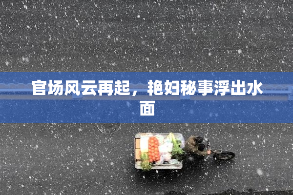 官场风云再起，艳妇秘事浮出水面