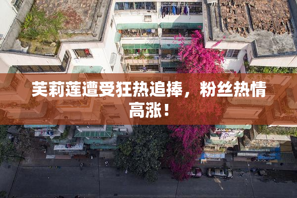 芙莉莲遭受狂热追捧，粉丝热情高涨！