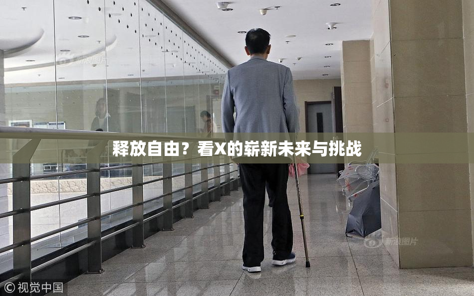 释放自由？看X的崭新未来与挑战