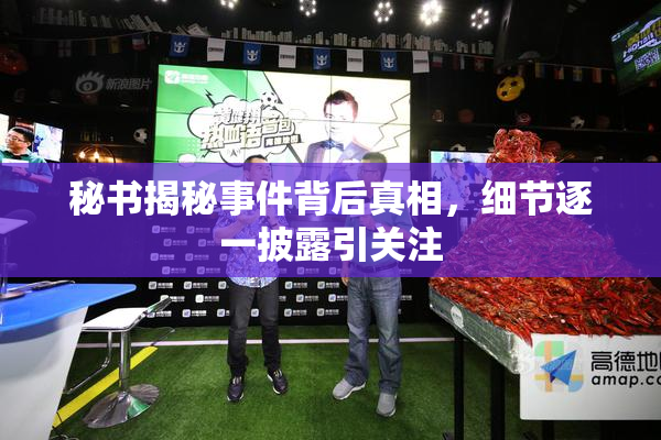 秘书揭秘事件背后真相，细节逐一披露引关注