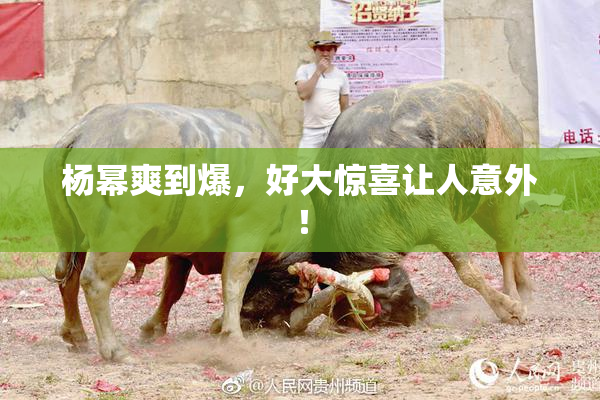杨幂爽到爆，好大惊喜让人意外！