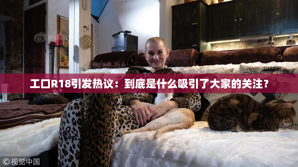 工口R18引发热议：到底是什么吸引了大家的关注？