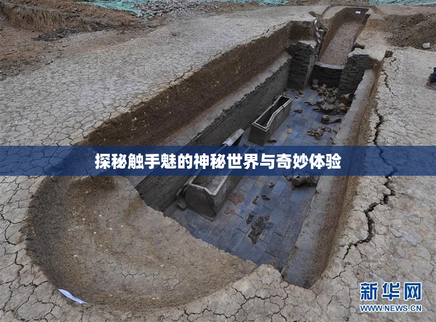 探秘触手魅的神秘世界与奇妙体验