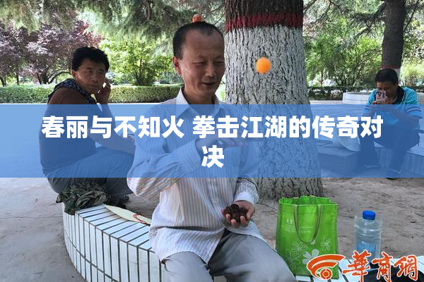 春丽与不知火 拳击江湖的传奇对决