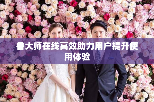 鲁大师在线高效助力用户提升使用体验