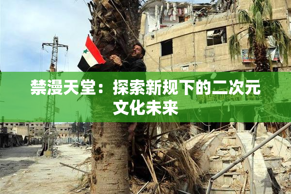 禁漫天堂：探索新规下的二次元文化未来