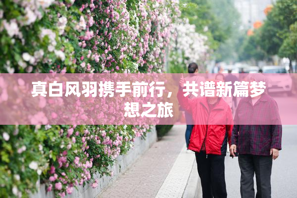 真白风羽携手前行，共谱新篇梦想之旅