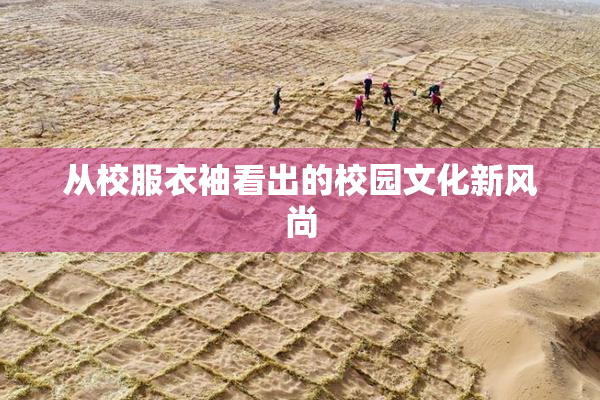 从校服衣袖看出的校园文化新风尚