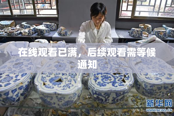 在线观看已满，后续观看需等候通知