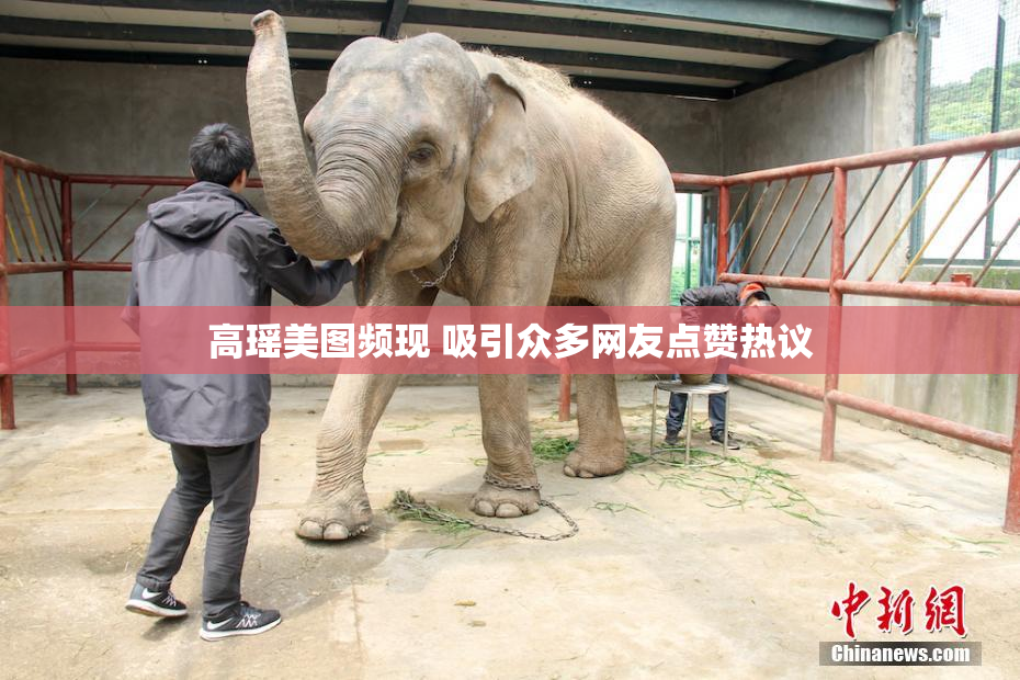 高瑶美图频现 吸引众多网友点赞热议
