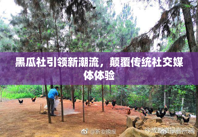 黑瓜社引领新潮流，颠覆传统社交媒体体验