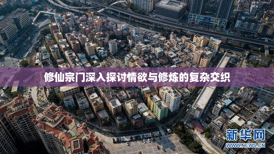 修仙宗门深入探讨情欲与修炼的复杂交织