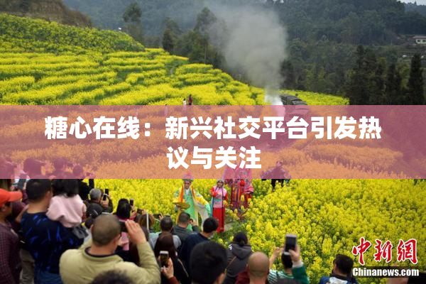 糖心在线：新兴社交平台引发热议与关注