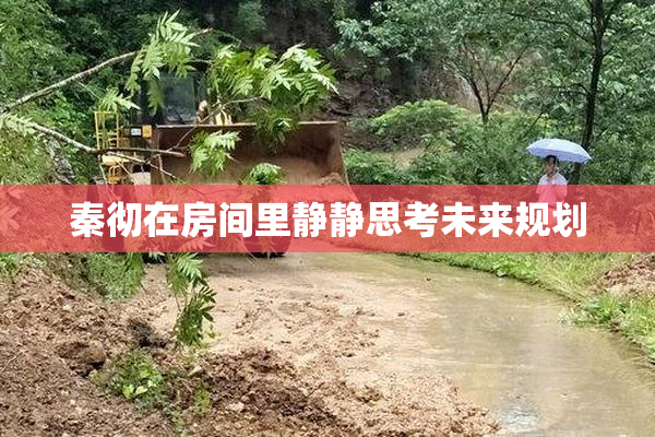 秦彻在房间里静静思考未来规划