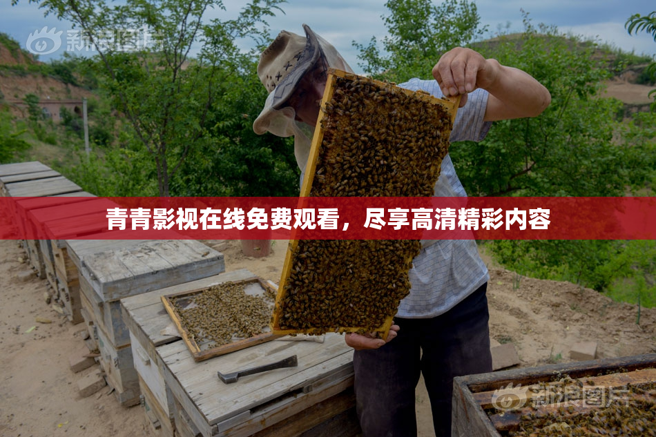 青青影视在线免费观看，尽享高清精彩内容