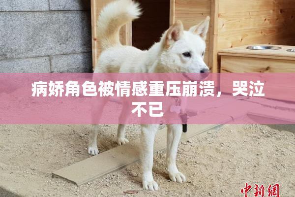 病娇角色被情感重压崩溃，哭泣不已