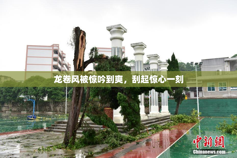 龙卷风被惊吟到爽，刮起惊心一刻